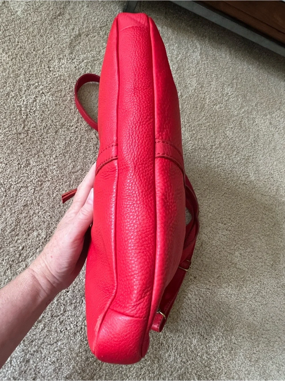 Fossil erin convertible